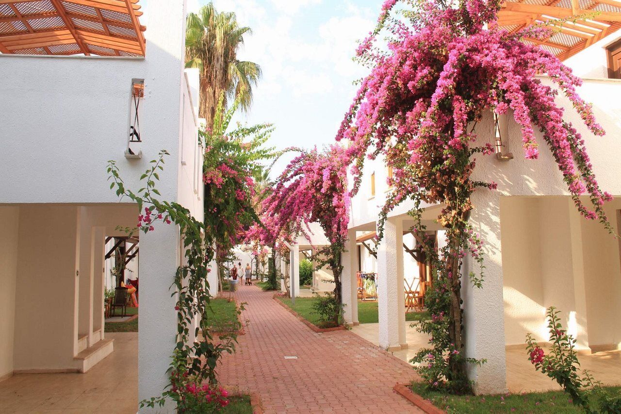 Club Kastalia Holiday Village Konakli Bagian luar foto